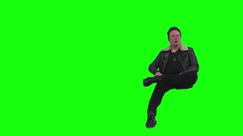“Go F*** Yourself” Elon Musk | Green Screen