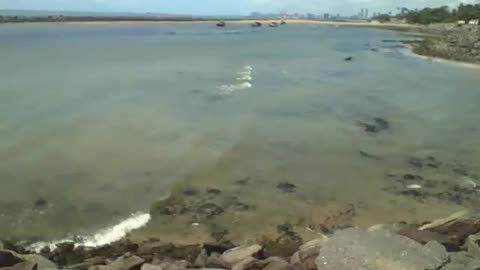 Filming the sea from above, you can see the rocks and calm waves, pretty! [Nature & Animals]