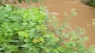 carro cayó a arroyo