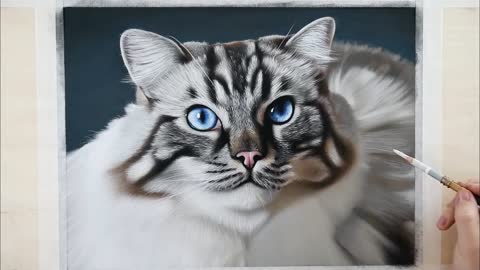 PHOTO-REALISTIC CAT DRAWING Color Pastel Pencil Animal Art - Time-Lapse