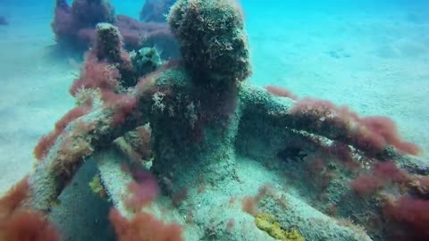 Museo Atlantico, Lanzarote - Feb 2017-9