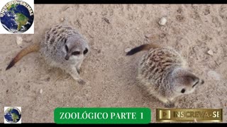 ZOOLÓGICO PARTE 1