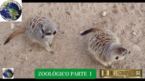 ZOOLÓGICO PARTE 1