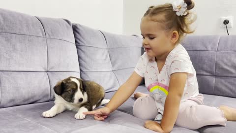 Adorable_Baby_Girl_Meets_New_Puppy_For_First_Time