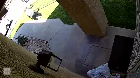 Package Delivery Guy Stumble