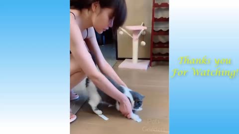 I can stop watching this cute cat funny video