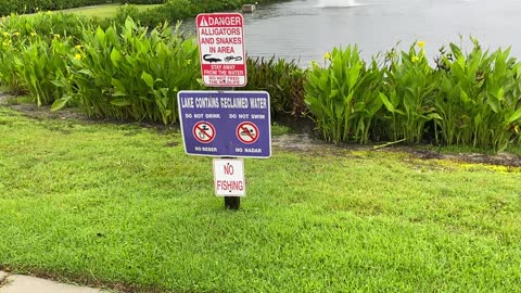 Tropical Storm Elsa Making Her Presence Known In Estero, Florida