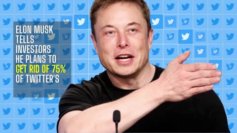 Musk tells Twitter: You're fired!