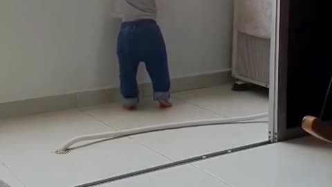 Gatinho cuidando do Bebê