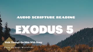 Exodus Chapter 5 - Day 5 of Walking Through The Entire Bible With Stony Kalango