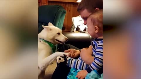 Dogs And Babies Are Best Friends JOKE AND INNOCENCE