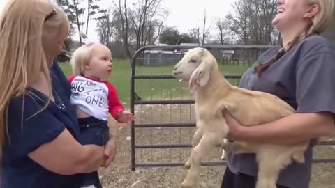 Cute Baby Girl Perfectly Mimics Little Goat in Farm