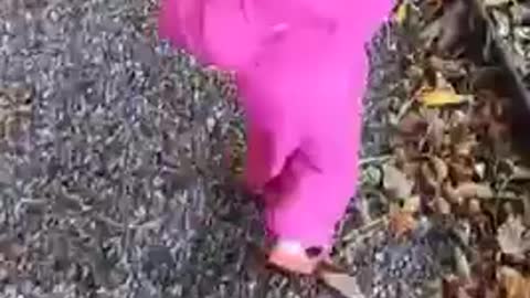 Little girl has happy waddle walk