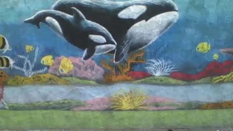 2 orcas pintadas na parede da rua, a outros peixes, como se fosse o fundo do mar [Nature & Animals]