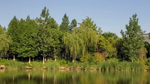 Small island in the lake