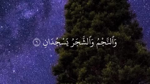 Beautiful recitation of Surah Al Rehman #quran #islam #trending