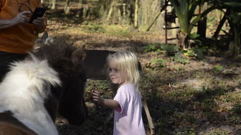 My Daughter and a Young Deer