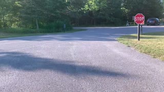 A Bike Through Tawas Point State Park