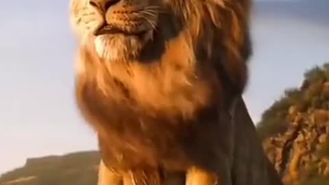 Awesome Lion King Black Panther Animal Attitude Full Screen Shorts WhatsApp Status Video Download