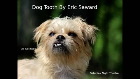 Dog tooth by Eric Saward