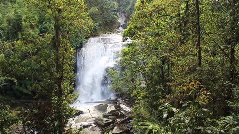Waterfall scenery video.