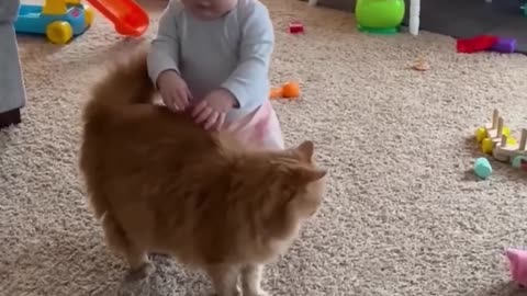 cute baby playing with cat so cute baby fun with cat