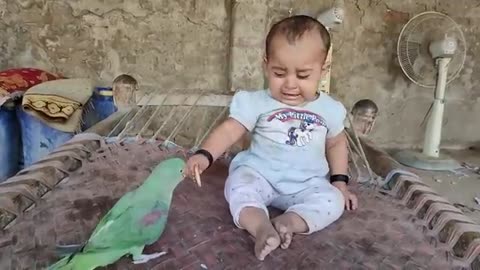 Parrot 🦜 and baby ❣️❣️