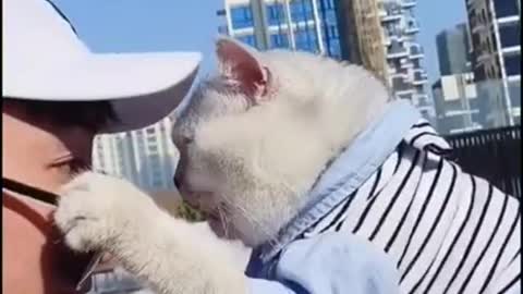 Cat most cute video ever ♥️😍🤩