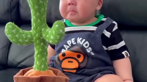 Cute Babies Playing with Dancing Cactus (Hilarious)Cute Baby Funny Videos