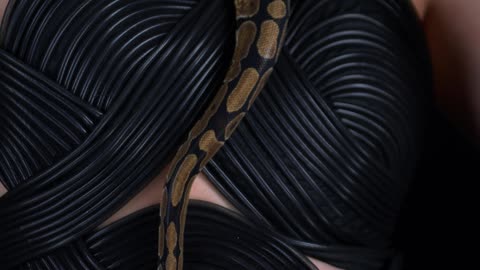 Mulher cobra