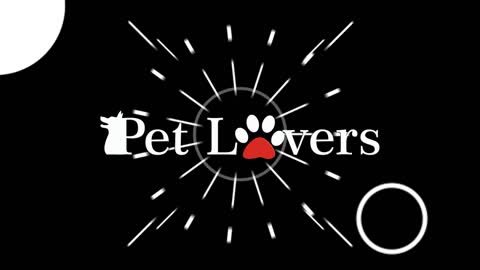 Canal Pet Lovers Oficial