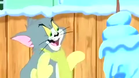 Tom and Jerry |Snowball hit Tom |only on Cartoon Network
