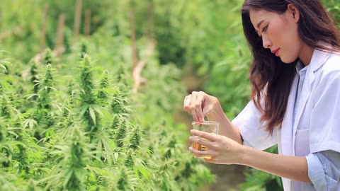 ***CBD: A Journey Through Health and History***