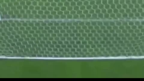 DI Maria's Famous Goal Against Brazil