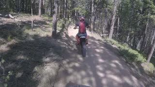 trail riding in rampart colorado