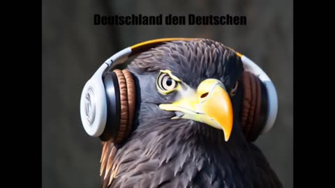 AUSLÄNDER RAUS REMIX BASS BOOST!🎧 DEUTSCHLAND DEN DEUTSCHEN!