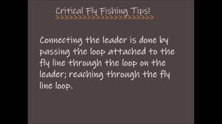 Critical Fly Fishing Tips!
