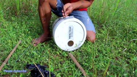 Capture Wild Cats with a Plastic Container!