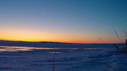 Arctic Sunrise