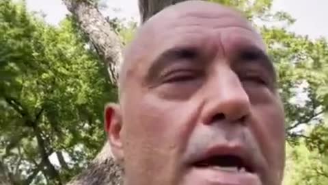 Joe Rogan Announces He Has COVID-19 And Feels Great After Ivermectin And Multi-Drug Treatment