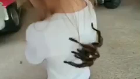 Little girls plays with dangerous scorpions