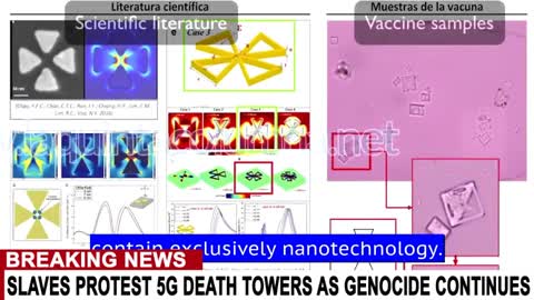 WATCH VACCINE NANO BOTS KILL AFTER BEING ACTIVATED BY A CELL PHONE