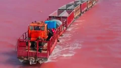 Lake Burlinskoye is a pink lake in Siberia and a train runs through it
