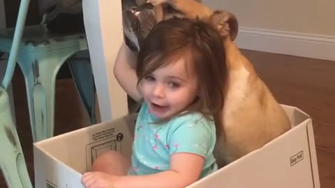 Singing Toddler Adorably Serenades Her English Bulldog