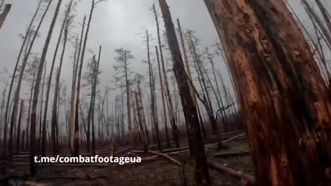 🌲🇺🇦 Ukraine Conflict | Battles with Russians in Serebryansky Forest - GoPro Footage, 12th Azov | RCF