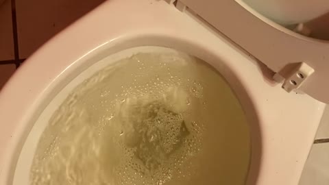 flush that pee