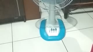 FAN