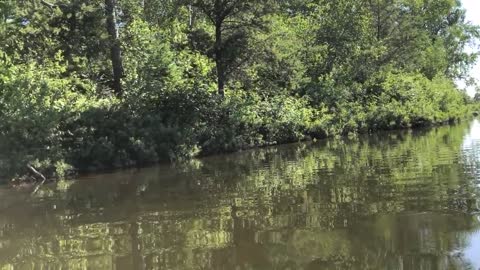 First time sailing boat in a river. It's so exciting.