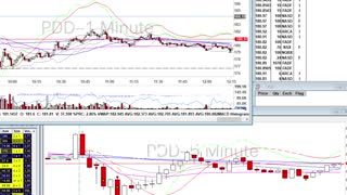 Day Trade Recap - 1.7.21 $PDD $PLUG