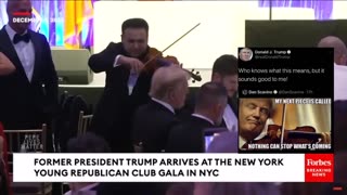 Last night a violinist serenaded Trump with the most beautiful music you've ever heard.